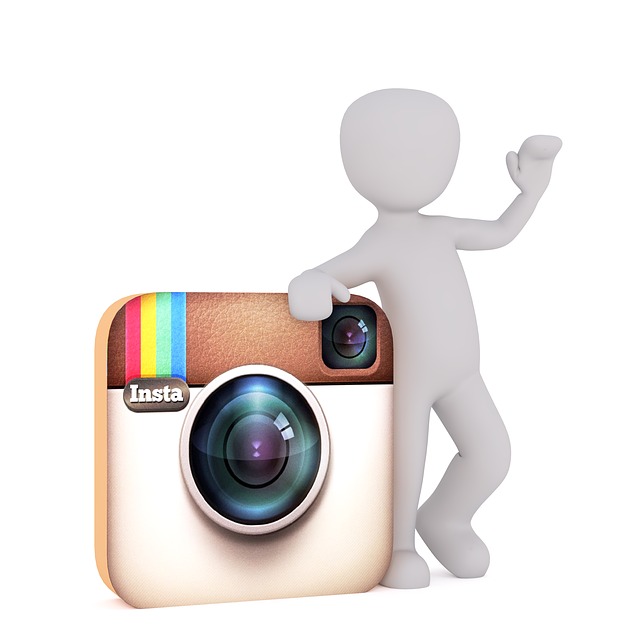 ganhar seguidores instagram