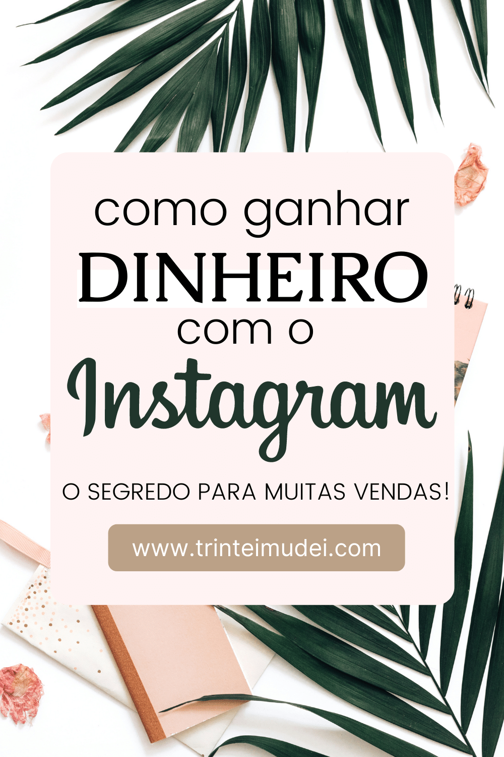 Como Ganhar Dinheiro Com Instagram? Trintei Mudei