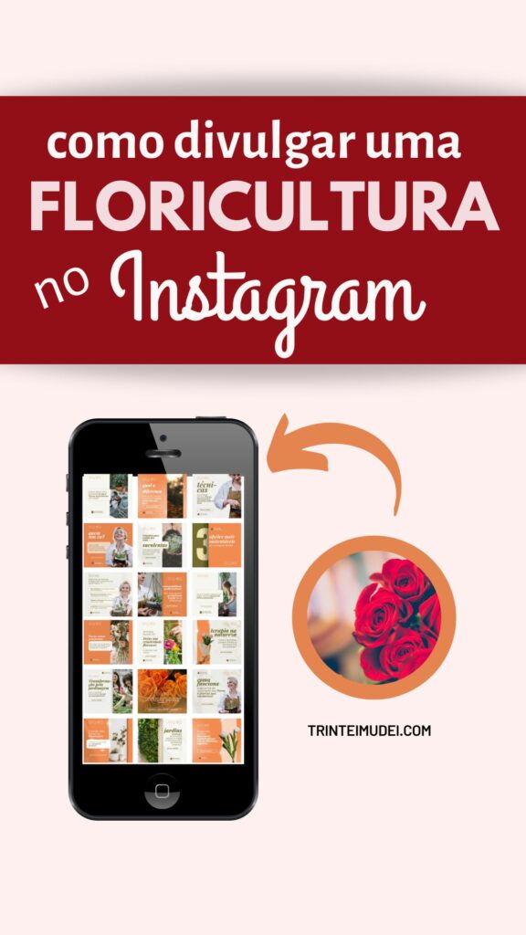 como divulgar uma floricultura no Instagram